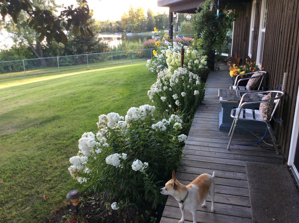 Robert'S Roost Rv Park Resort 퀘스넬 외부 사진