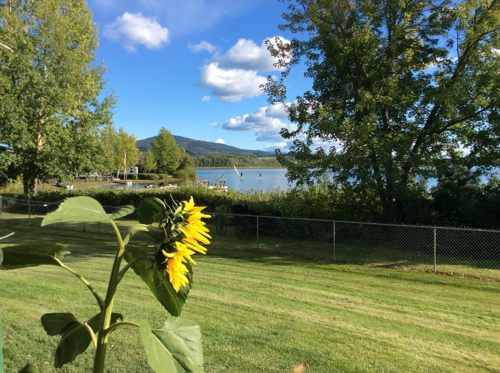 Robert'S Roost Rv Park Resort 퀘스넬 외부 사진